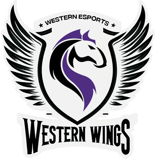 Manager for Western Wings 2023/Present
